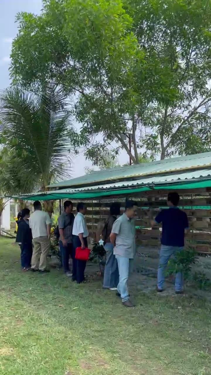 Khu vườn nuôi ong dú dưới mái che