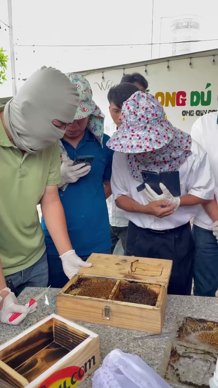 Cả lớp quan sát một thùng ong dú đang mạnh