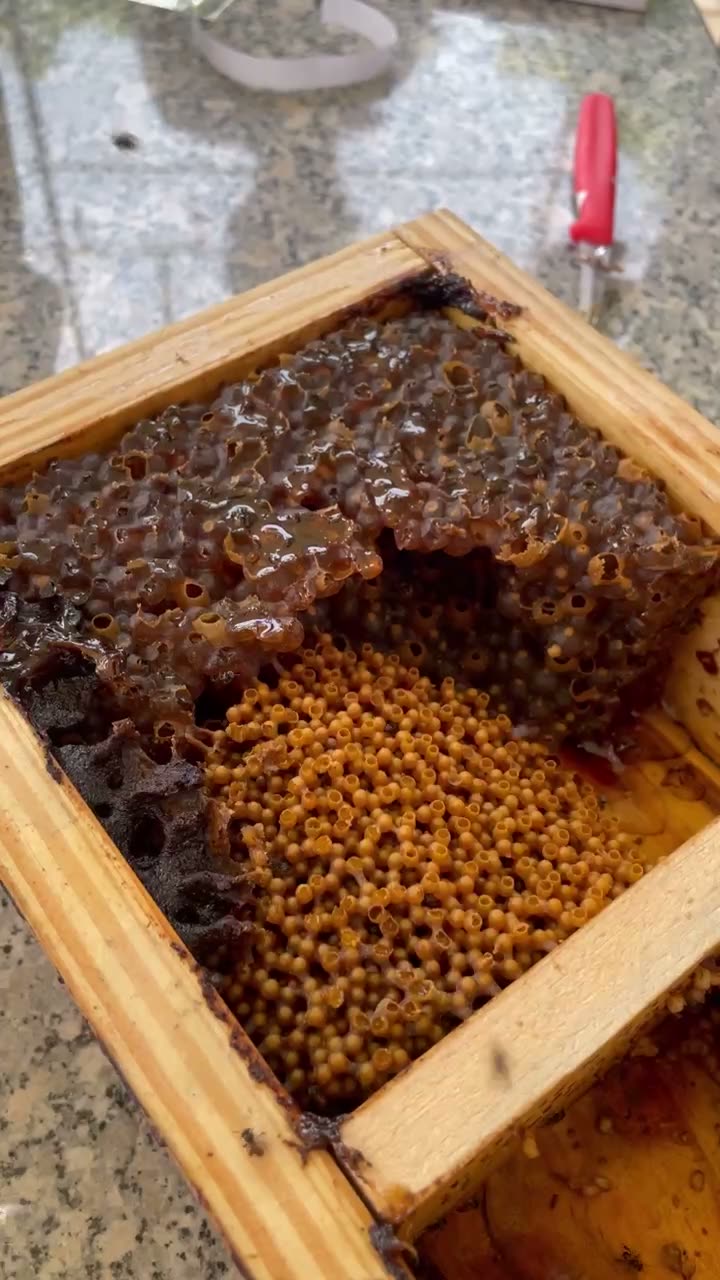 Thùng ong dú kín tổ sau một mùa