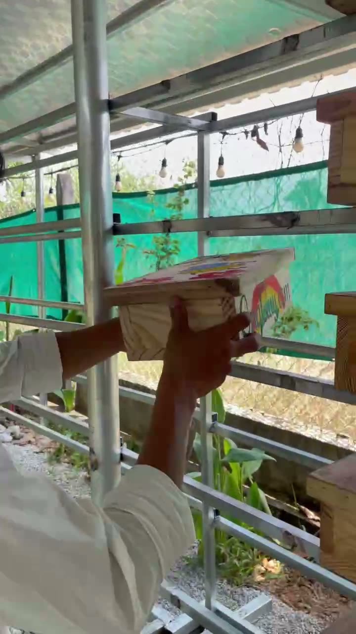 Đưa thùng ong dú lên giàn đặt