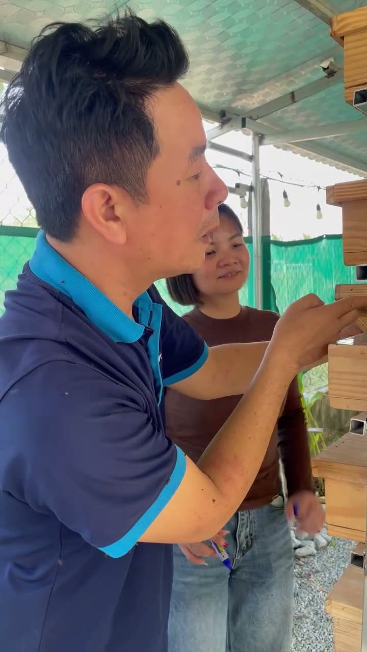 Kiểm tra giàn thùng ong dú tại trại